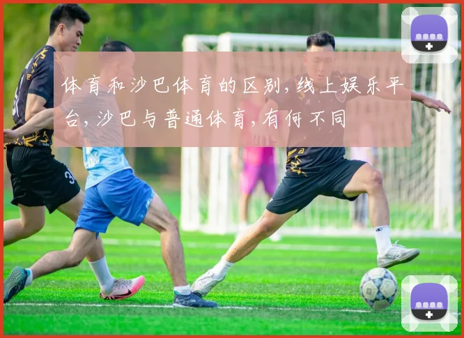 体育和沙巴体育的区别,线上娱乐平台,沙巴与普通体育,有何不同