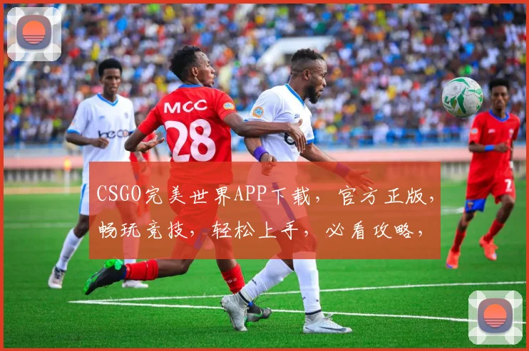 CSGO完美世界APP下载，官方正版，畅玩竞技，轻松上手，必看攻略，三步完成