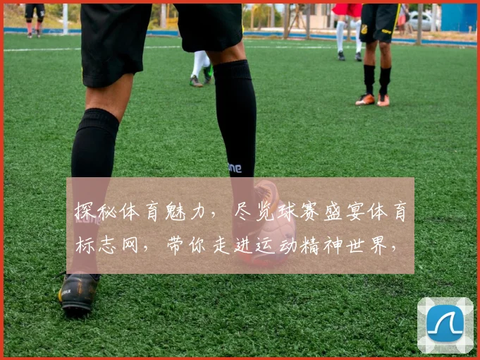 探秘体育魅力，尽览球赛盛宴体育标志网，带你走进运动精神世界，体验激情与拼搏